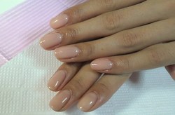 2010112217060000.jpg